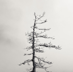 travel-19