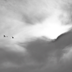 travel-07