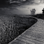 travel-23